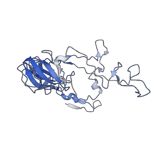 10906_6yss_C_v1-1
Structure of the P+9 ArfB-ribosome complex in the post-hydrolysis state