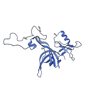 10906_6yss_D_v1-1
Structure of the P+9 ArfB-ribosome complex in the post-hydrolysis state