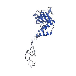10906_6yss_E_v1-1
Structure of the P+9 ArfB-ribosome complex in the post-hydrolysis state