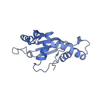 10906_6yss_F_v1-1
Structure of the P+9 ArfB-ribosome complex in the post-hydrolysis state