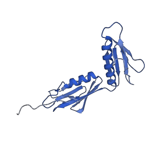 10906_6yss_G_v1-1
Structure of the P+9 ArfB-ribosome complex in the post-hydrolysis state
