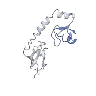 10906_6yss_H_v1-1
Structure of the P+9 ArfB-ribosome complex in the post-hydrolysis state