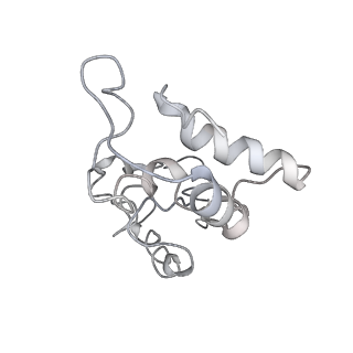 10906_6yss_I_v1-1
Structure of the P+9 ArfB-ribosome complex in the post-hydrolysis state