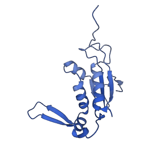 10906_6yss_J_v1-1
Structure of the P+9 ArfB-ribosome complex in the post-hydrolysis state