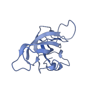 10906_6yss_K_v1-1
Structure of the P+9 ArfB-ribosome complex in the post-hydrolysis state