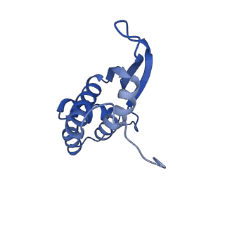 10906_6yss_N_v1-1
Structure of the P+9 ArfB-ribosome complex in the post-hydrolysis state