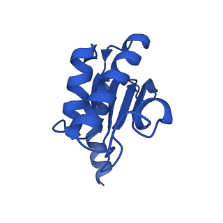 10906_6yss_O_v1-1
Structure of the P+9 ArfB-ribosome complex in the post-hydrolysis state