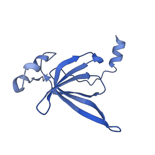10906_6yss_P_v1-1
Structure of the P+9 ArfB-ribosome complex in the post-hydrolysis state