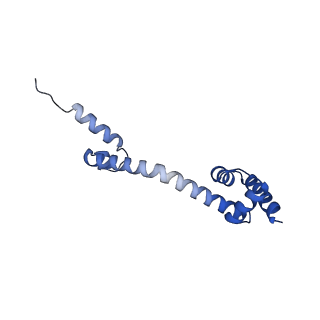 10906_6yss_Q_v1-1
Structure of the P+9 ArfB-ribosome complex in the post-hydrolysis state