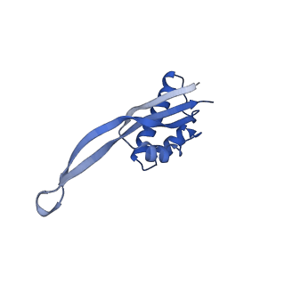 10906_6yss_S_v1-1
Structure of the P+9 ArfB-ribosome complex in the post-hydrolysis state