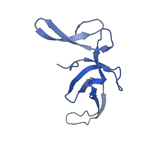 10906_6yss_U_v1-1
Structure of the P+9 ArfB-ribosome complex in the post-hydrolysis state