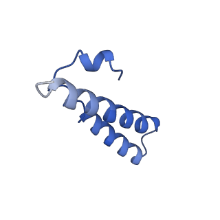 10906_6yss_Y_v1-1
Structure of the P+9 ArfB-ribosome complex in the post-hydrolysis state