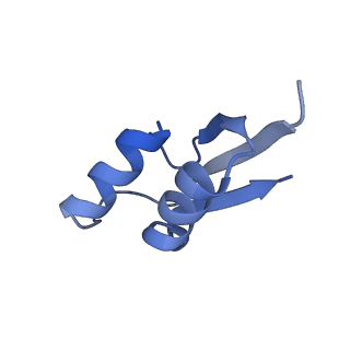 10906_6yss_Z_v1-1
Structure of the P+9 ArfB-ribosome complex in the post-hydrolysis state