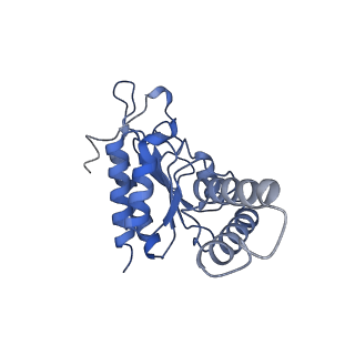 10906_6yss_b_v1-1
Structure of the P+9 ArfB-ribosome complex in the post-hydrolysis state