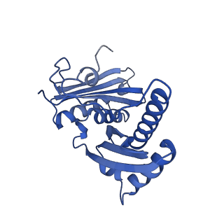 10906_6yss_c_v1-1
Structure of the P+9 ArfB-ribosome complex in the post-hydrolysis state