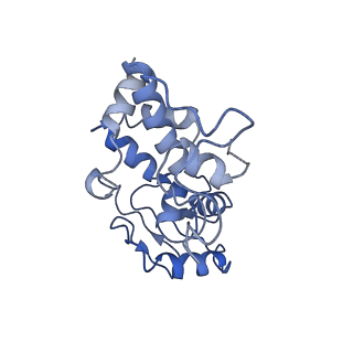 10906_6yss_d_v1-1
Structure of the P+9 ArfB-ribosome complex in the post-hydrolysis state