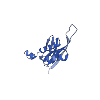 10906_6yss_e_v1-1
Structure of the P+9 ArfB-ribosome complex in the post-hydrolysis state