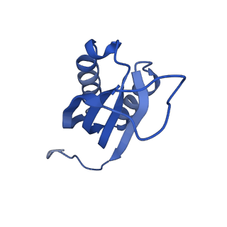 10906_6yss_f_v1-1
Structure of the P+9 ArfB-ribosome complex in the post-hydrolysis state