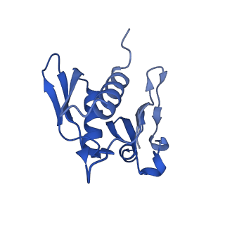 10906_6yss_h_v1-1
Structure of the P+9 ArfB-ribosome complex in the post-hydrolysis state