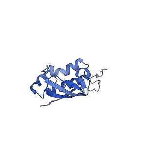 10906_6yss_i_v1-1
Structure of the P+9 ArfB-ribosome complex in the post-hydrolysis state