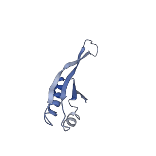 10906_6yss_j_v1-1
Structure of the P+9 ArfB-ribosome complex in the post-hydrolysis state