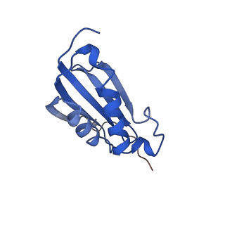 10906_6yss_k_v1-1
Structure of the P+9 ArfB-ribosome complex in the post-hydrolysis state