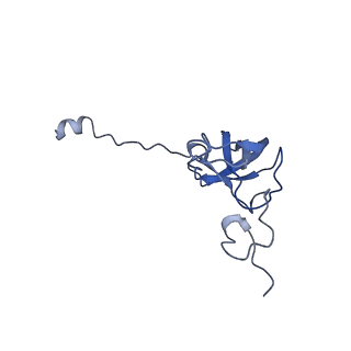 10906_6yss_l_v1-1
Structure of the P+9 ArfB-ribosome complex in the post-hydrolysis state