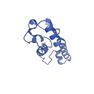 10906_6yss_m_v1-1
Structure of the P+9 ArfB-ribosome complex in the post-hydrolysis state