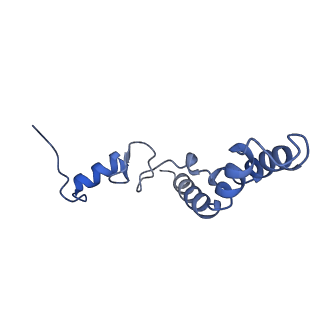 10906_6yss_n_v1-1
Structure of the P+9 ArfB-ribosome complex in the post-hydrolysis state