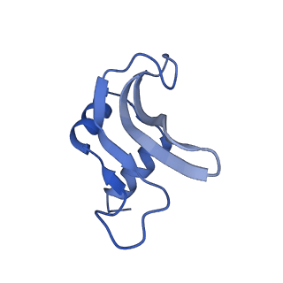 10906_6yss_p_v1-1
Structure of the P+9 ArfB-ribosome complex in the post-hydrolysis state