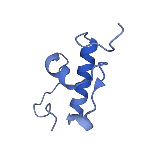 10906_6yss_r_v1-1
Structure of the P+9 ArfB-ribosome complex in the post-hydrolysis state