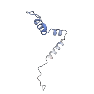 10906_6yss_u_v1-1
Structure of the P+9 ArfB-ribosome complex in the post-hydrolysis state