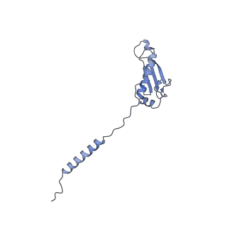 10906_6yss_y_v1-1
Structure of the P+9 ArfB-ribosome complex in the post-hydrolysis state