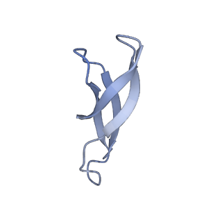 10907_6yst_1_v1-1
Structure of the P+9 ArfB-ribosome complex with P/E hybrid tRNA in the post-hydrolysis state