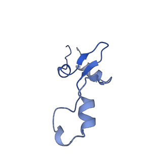 10907_6yst_3_v1-1
Structure of the P+9 ArfB-ribosome complex with P/E hybrid tRNA in the post-hydrolysis state