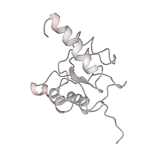 10907_6yst_5_v1-1
Structure of the P+9 ArfB-ribosome complex with P/E hybrid tRNA in the post-hydrolysis state