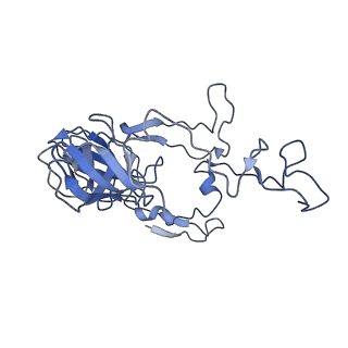 10907_6yst_C_v1-1
Structure of the P+9 ArfB-ribosome complex with P/E hybrid tRNA in the post-hydrolysis state