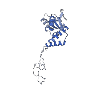 10907_6yst_E_v1-1
Structure of the P+9 ArfB-ribosome complex with P/E hybrid tRNA in the post-hydrolysis state