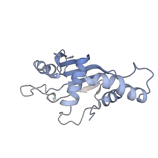 10907_6yst_F_v1-1
Structure of the P+9 ArfB-ribosome complex with P/E hybrid tRNA in the post-hydrolysis state