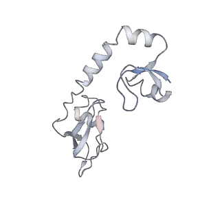 10907_6yst_H_v1-1
Structure of the P+9 ArfB-ribosome complex with P/E hybrid tRNA in the post-hydrolysis state