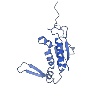 10907_6yst_J_v1-1
Structure of the P+9 ArfB-ribosome complex with P/E hybrid tRNA in the post-hydrolysis state