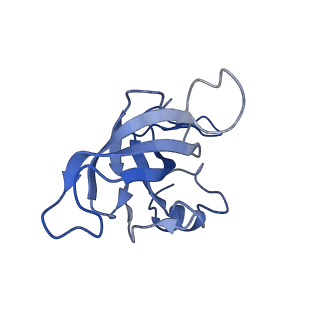 10907_6yst_K_v1-1
Structure of the P+9 ArfB-ribosome complex with P/E hybrid tRNA in the post-hydrolysis state