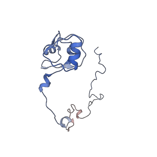 10907_6yst_L_v1-1
Structure of the P+9 ArfB-ribosome complex with P/E hybrid tRNA in the post-hydrolysis state