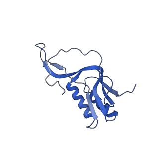 10907_6yst_M_v1-1
Structure of the P+9 ArfB-ribosome complex with P/E hybrid tRNA in the post-hydrolysis state