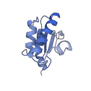 10907_6yst_O_v1-1
Structure of the P+9 ArfB-ribosome complex with P/E hybrid tRNA in the post-hydrolysis state