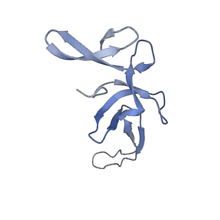 10907_6yst_U_v1-1
Structure of the P+9 ArfB-ribosome complex with P/E hybrid tRNA in the post-hydrolysis state