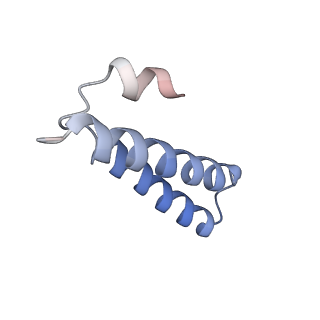 10907_6yst_Y_v1-1
Structure of the P+9 ArfB-ribosome complex with P/E hybrid tRNA in the post-hydrolysis state