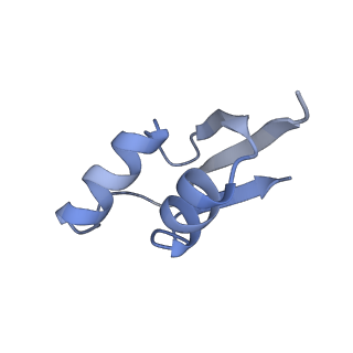10907_6yst_Z_v1-1
Structure of the P+9 ArfB-ribosome complex with P/E hybrid tRNA in the post-hydrolysis state