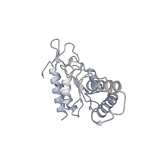 10907_6yst_b_v1-1
Structure of the P+9 ArfB-ribosome complex with P/E hybrid tRNA in the post-hydrolysis state