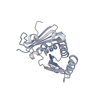 10907_6yst_c_v1-1
Structure of the P+9 ArfB-ribosome complex with P/E hybrid tRNA in the post-hydrolysis state